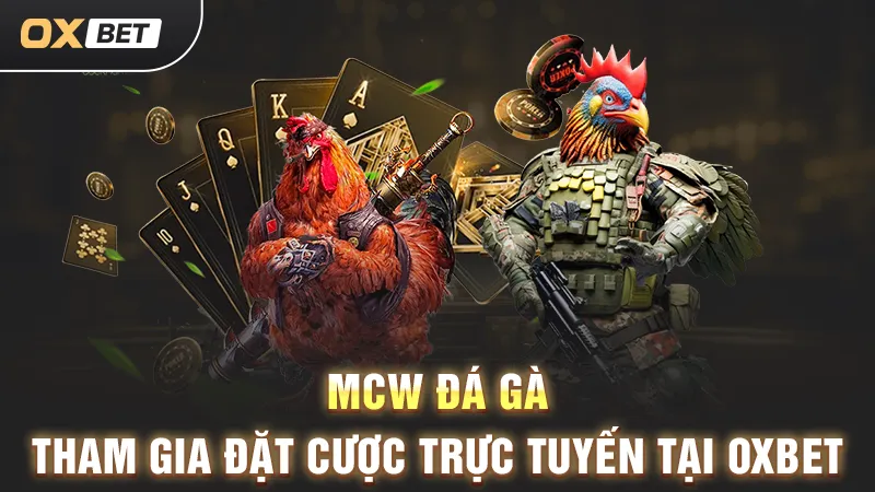 MCW đá gà, tham gia đặt cược trực tuyến tại OXBET