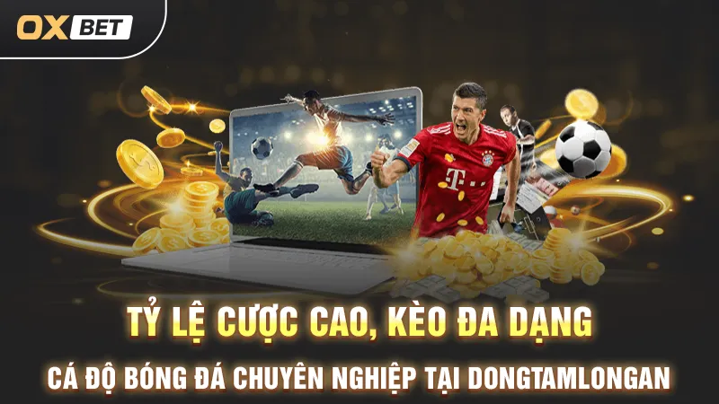 Trang cá độ Dongtamlongan, cá cược bóng đá hấp dẫn